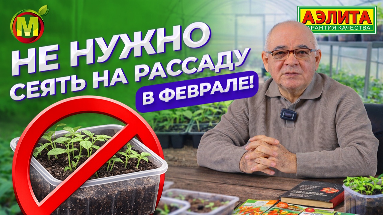Почему НЕ НАДО сеять на рассаду ПАСЛЕНОВЫЕ в ФЕВРАЛЕ? смотреть онлайн