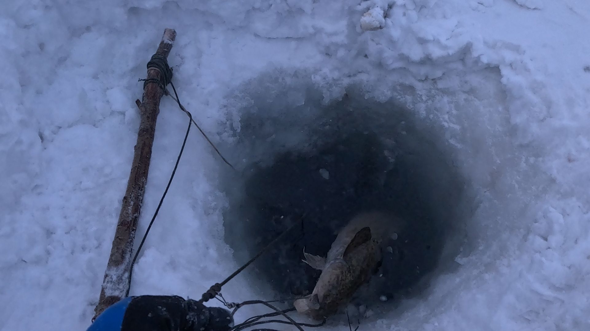 Неожиданный улов | Перемет на налима | Проверка 07.02.2026 смотреть онлайн