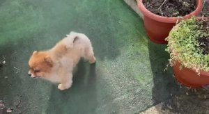 Солнышко нас сегодня радует и все гуляют с удовольствием.