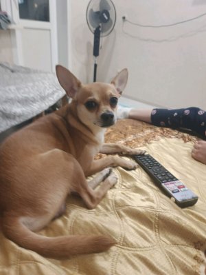 2 часть ряльная жизнь