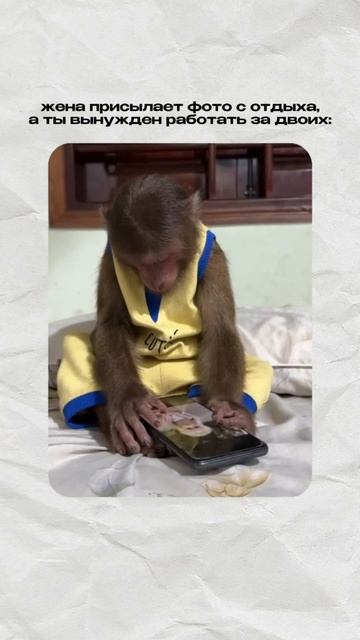 А у вас в семье как? 😁