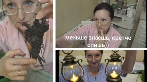 Начало февраля 2026 года. Фонарики. Купила Алиске подарок. Зачиталась. Сажаю пион на передержку.