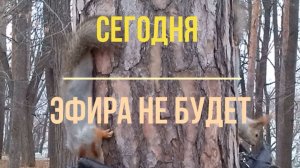 07.02.2026 эфира не будет