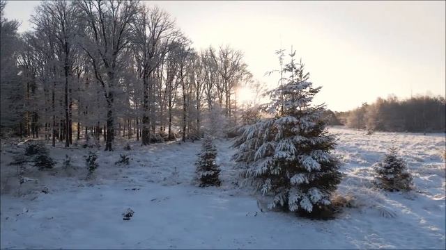 Главные ошибки 8 февраля — Чтобы не было беды.