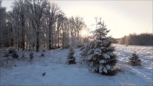 Главные ошибки 8 февраля - Чтобы не было беды.