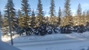 ОТМЫВАЮ ДУХОВКУ. ТОЛЬКО НАУЧИЛАСЬ ПРАВИЛЬНО ГОТОВИТЬ... ВЛОГ на КУХНЕ