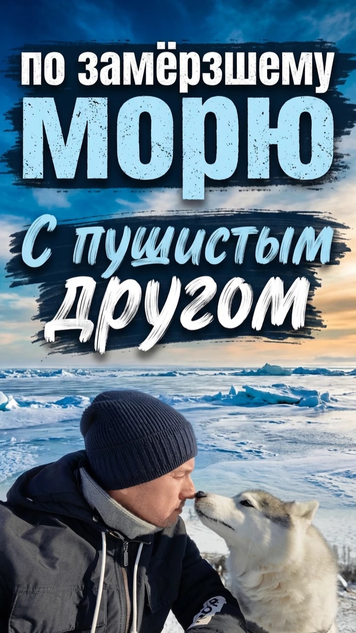 МАРИУПОЛЬ 2026. По замёрзшему морю с шерстяным другом.