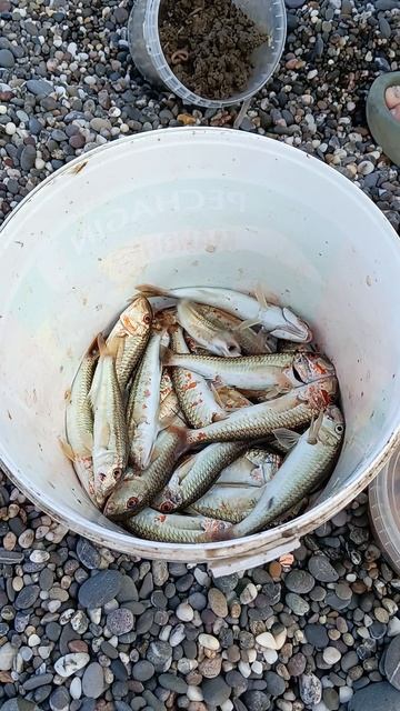 сюжет 2025, рыбалка,