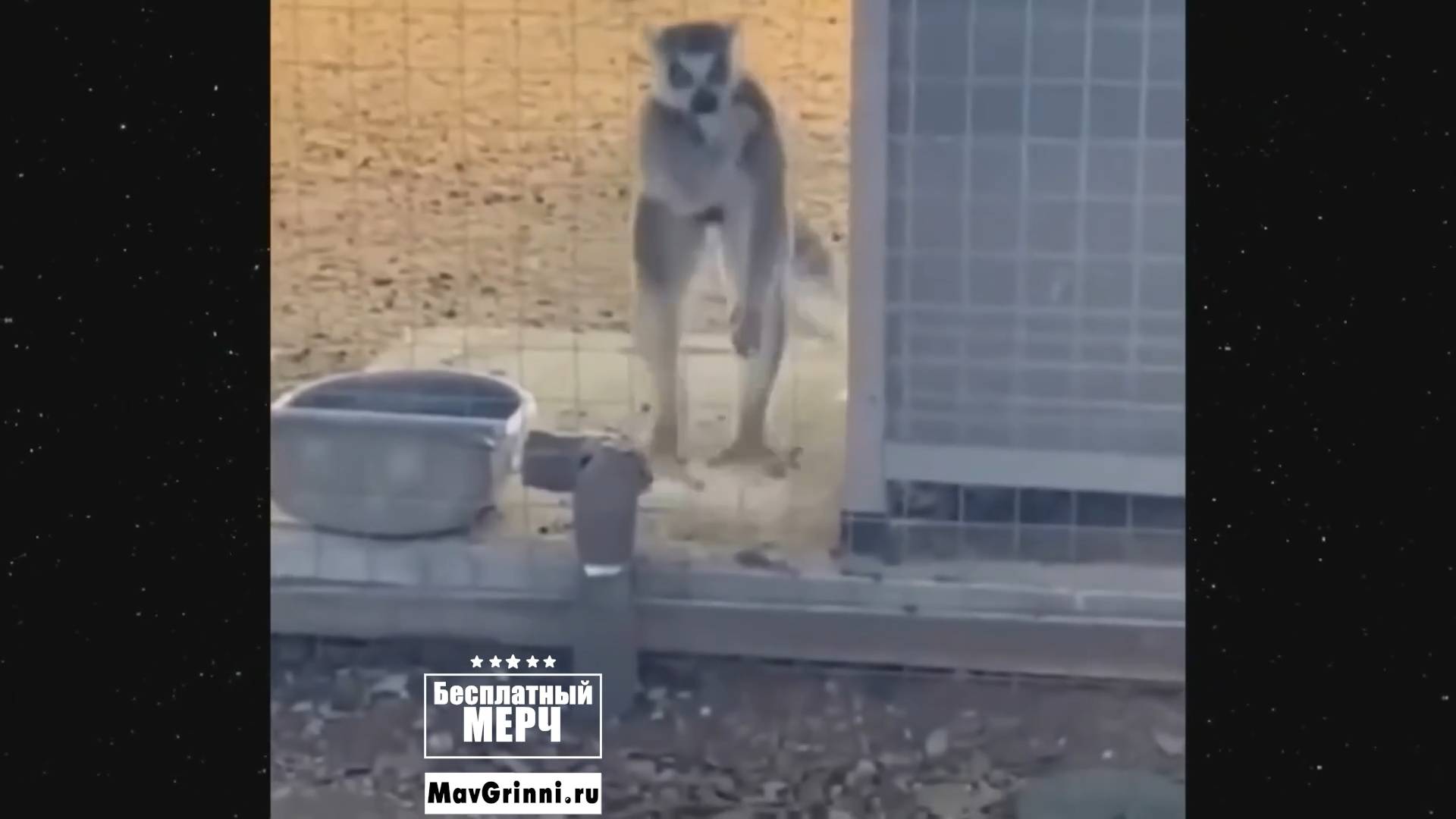 ЭТО БЕЗУМИЕ! Угарная подборка приколов НЕ ПЕЙТЕ ВОДУ ПЕРЕД ПРОСМОТРОМ!Ржака!Лол!Топ Смех Видео №3845