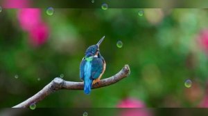 Когда нибудь.