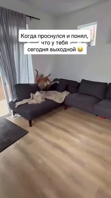 Не завидуйте