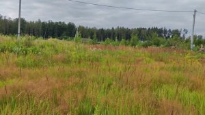 1000026690.mp4 д. Митянино