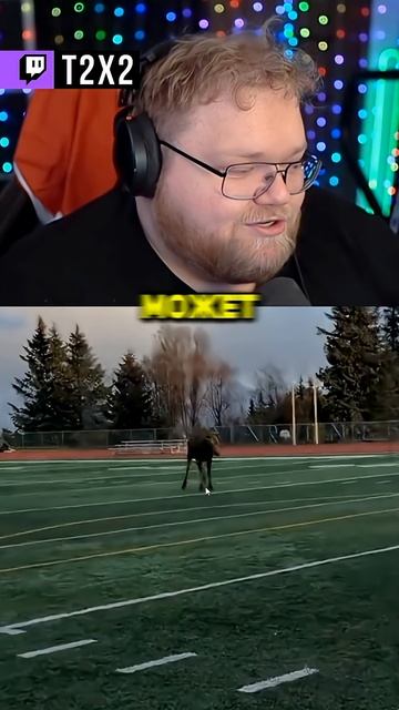 ЛОСЬ ИГРАЕТ 😁 - #t2x2 #т2х2 #twitch #реакция #юмор #мем #shorts смотреть онлайн