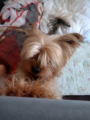 вопросики задаем