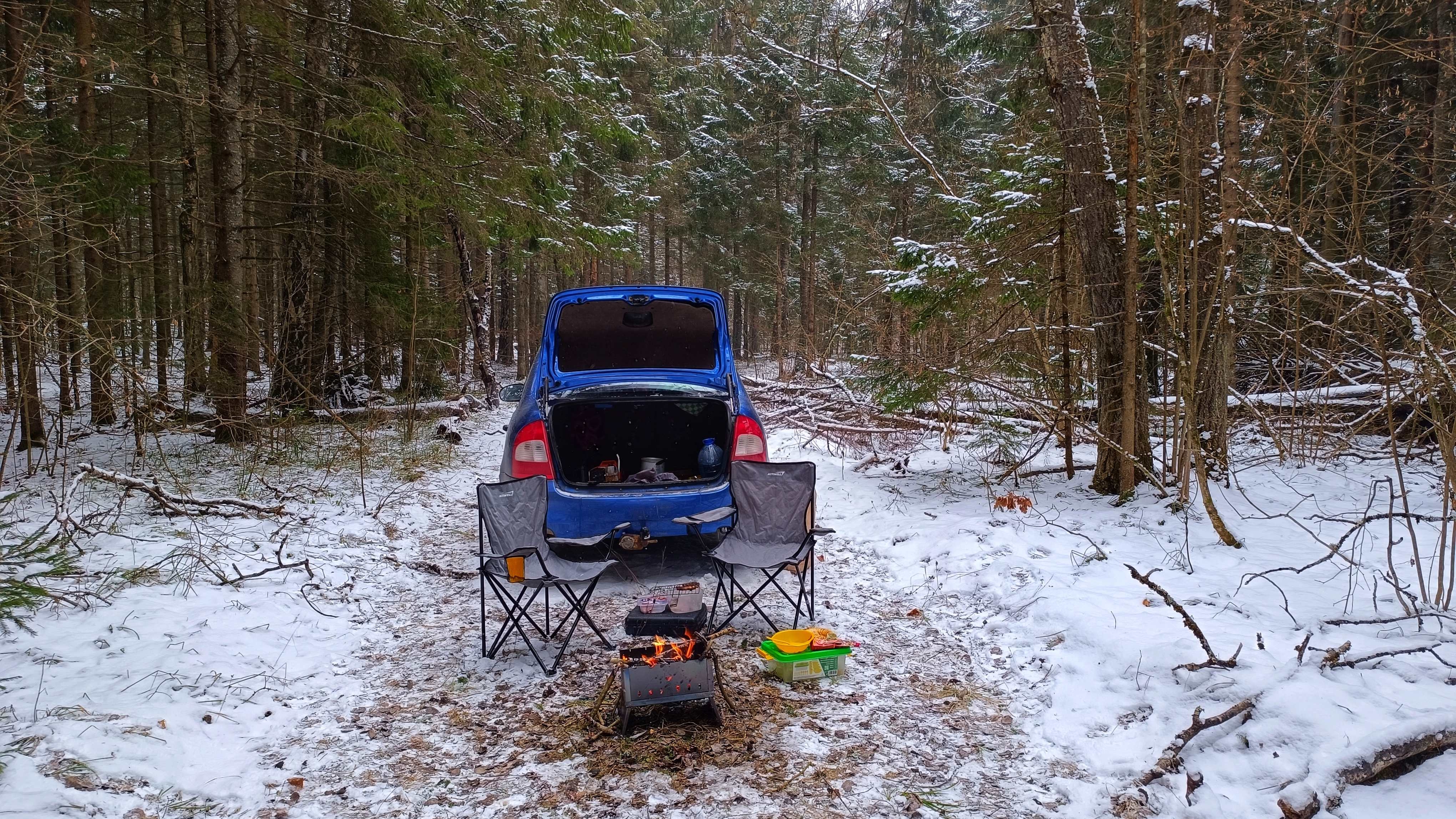 Однажды мы вновь купили Калину