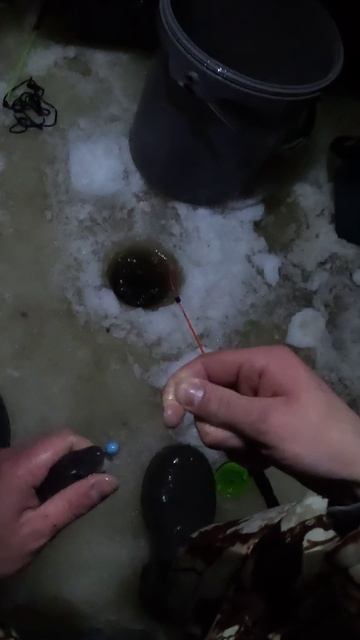 Ловля наваги! Рыбалка на белом море!