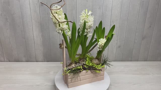 Композиция из гиацинтов в деревянном ящике смотреть онлайн