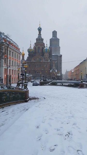 Зима в Петербурге!🎦 @andrey_sulimov