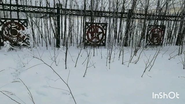 Контраст природы на снегу