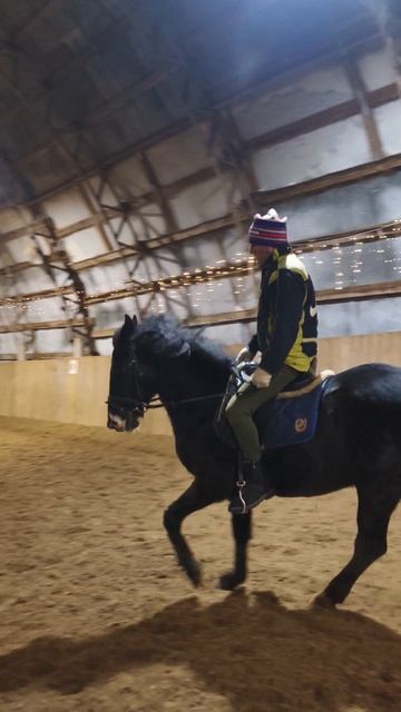 Алексей и Рокас Вэлл, вольт на галопе с переходом в шаг в манеже.
