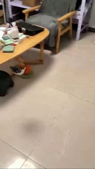 Тренажёр для охоты