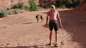 Каньон (краткий пересказ фильма. Супер краткий пересказ)