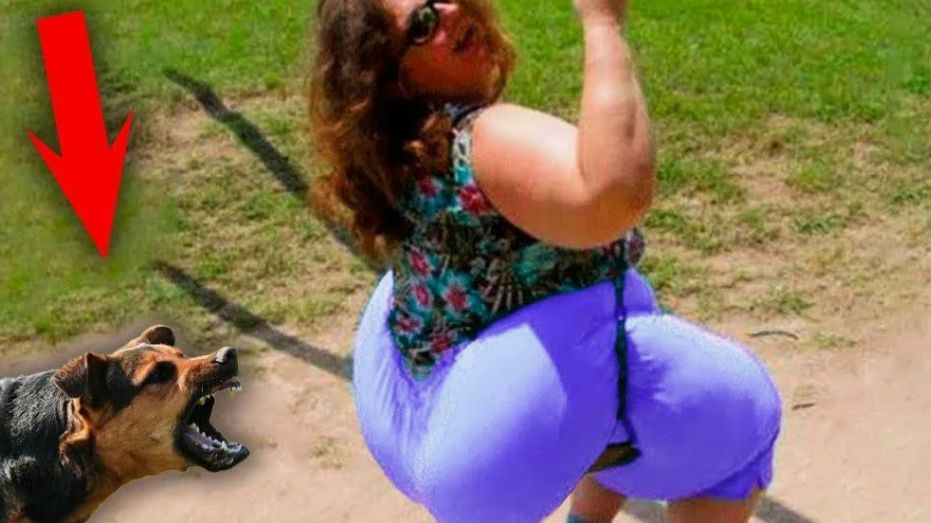 Самые Забавные Приколы на Камеру смотреть онлайн