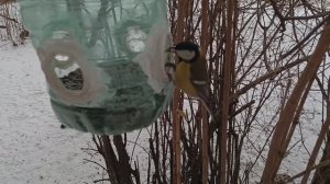 7 02 2026 Добрый день всем.