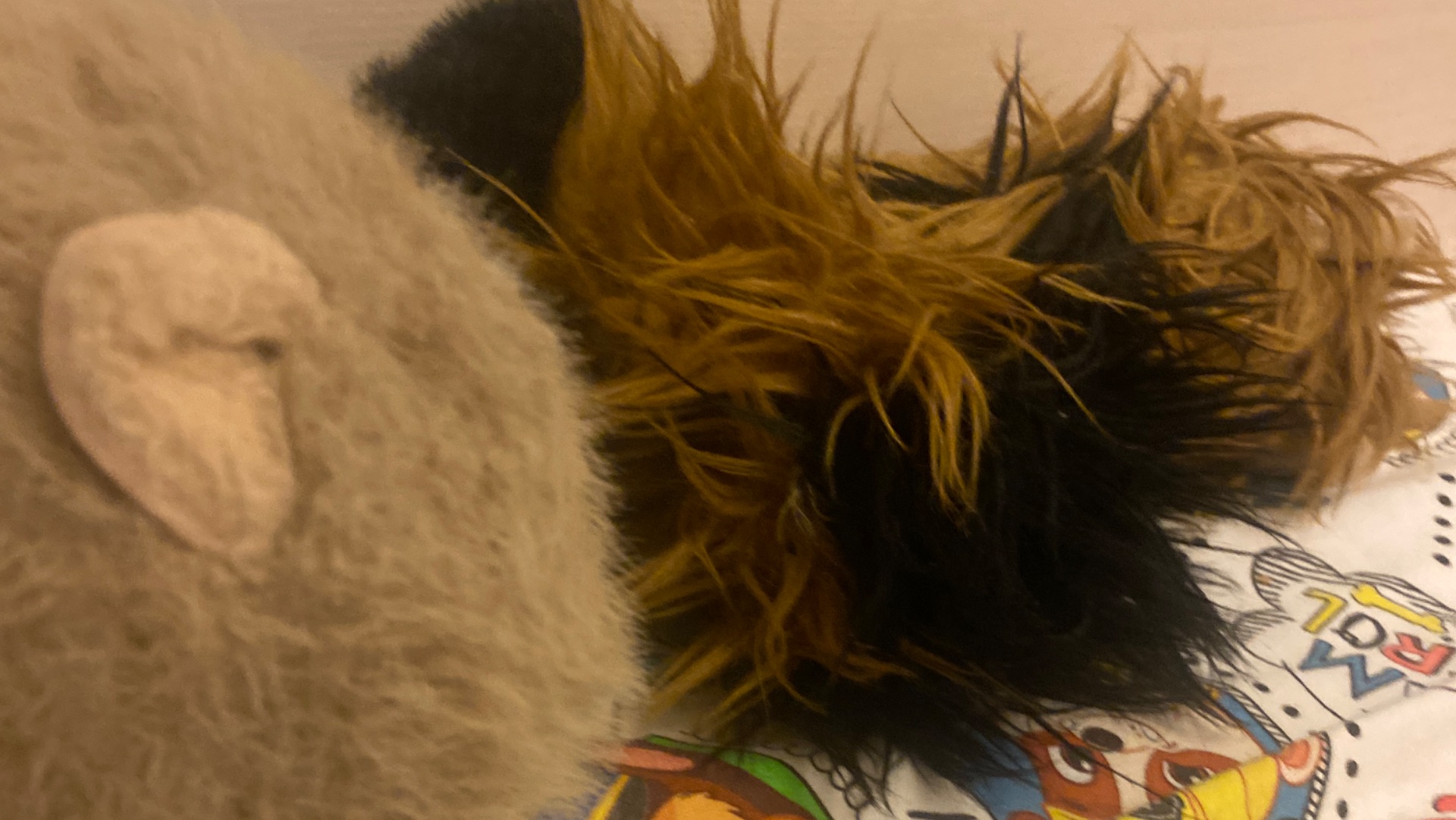 79215698247__9897D836-B68C-4745-AB5A-15046DBFC80E