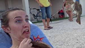 Самые Смешные Моменты