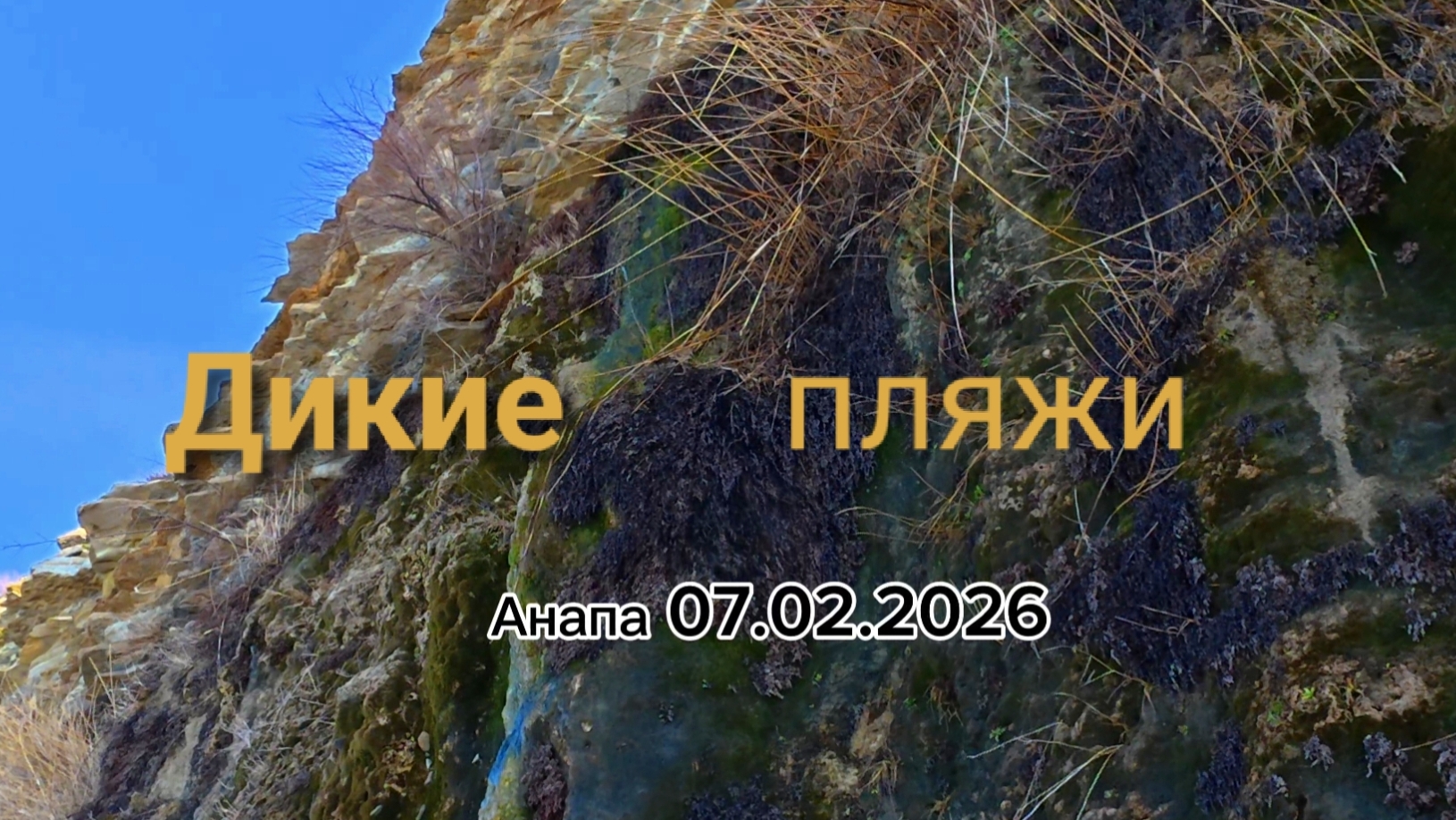 Анапа 07.02.2026 Дикие пляжи смотреть онлайн
