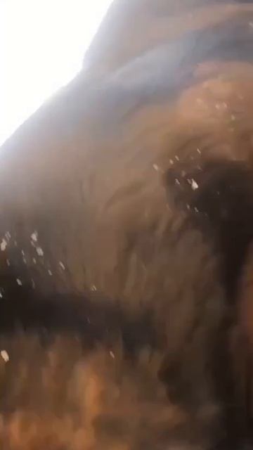 🟥🟥🟥🟥🟥🆘🆘🆘🟥🟥🟥🟥🟥
Это Орск — и это НЕ ПИАР. В небольшом Орске на ГЕНОЦИД собак выделено 12 🟥🟥🟥🟥🟥🆘🆘🆘🟥🟥🟥🟥🟥
Это Орск — и это НЕ ПИАР. В небольшом Орске на ГЕНОЦИД собак выделено 12