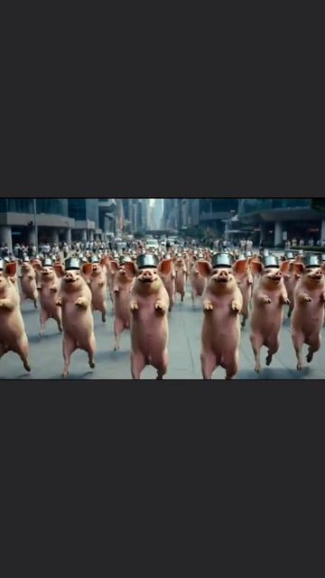 В поисках кружевных трусов смотреть онлайн