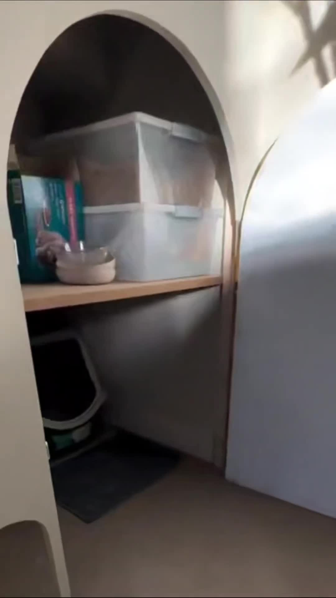 Место для кошачьего лoтка под лестницей. Как вам идея?