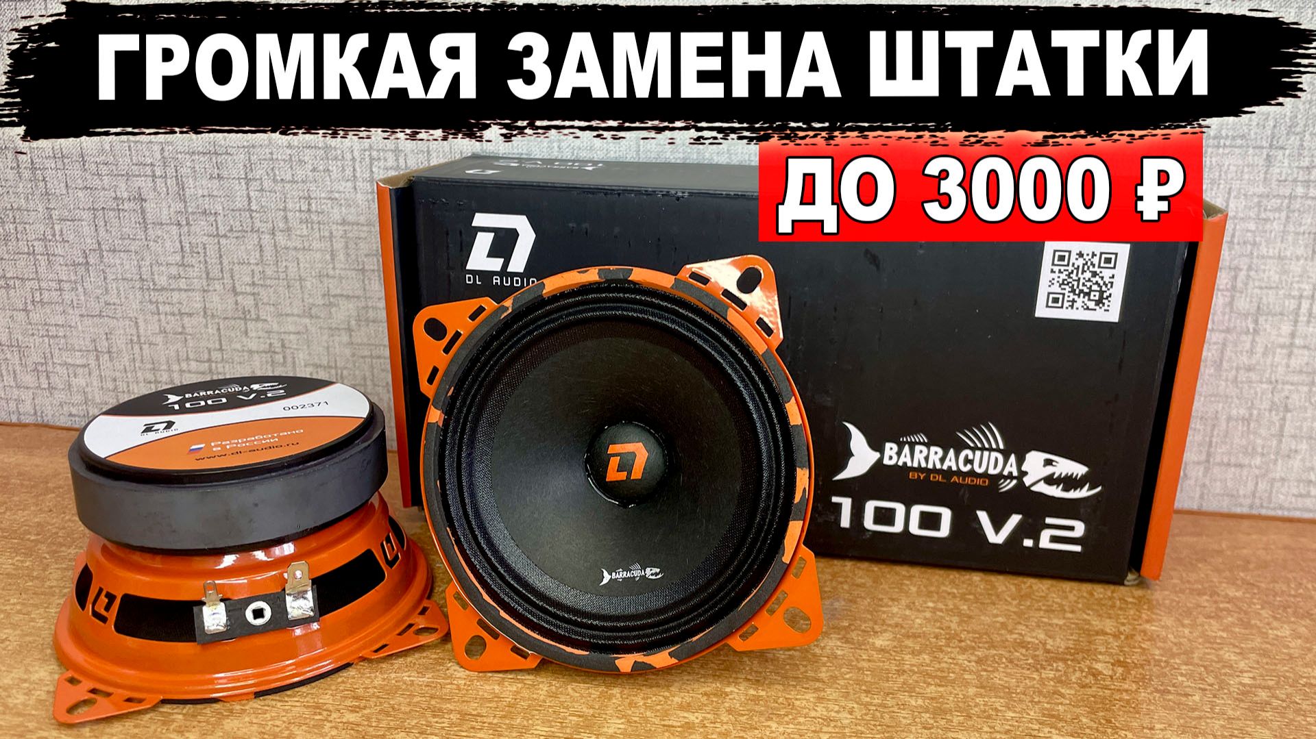 Громкая эстрадная акустика в штатные места! DL Audio Barracuda 100 V.2