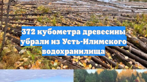 372 кубометра древесины убрали из Усть-Илимского водохранилища