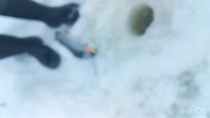 Вир зона.На резину