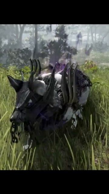 Вечное противостояние Дракании и Стража#vilmarionv #mmorpg #gaming #bdo #blackdesertonline #games смотреть онлайн