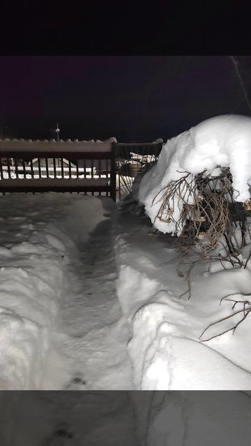 д. Ижма Архангельская обл.mp4