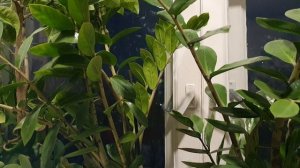 Всё было уж...