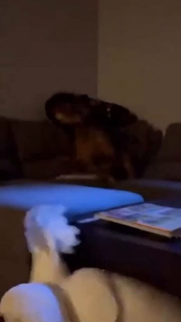 Потомок динозавров