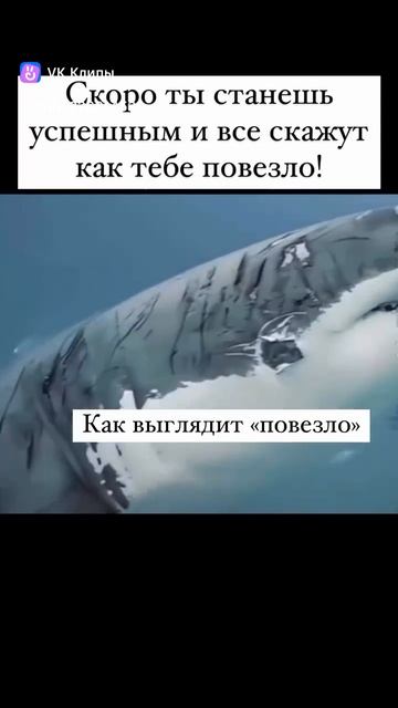 повезло смотреть онлайн