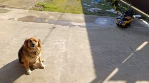 Мы приехали в гости