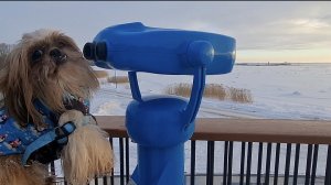 Озон.Доставка⏰️👀