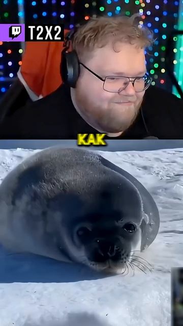 1 В 1 😁 - #t2x2 #т2х2 #twitch #реакция #юмор #мем #shorts смотреть онлайн