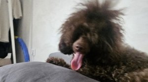 Танцуем под песни