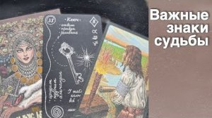 ❗️Срочная Потоковая Информация ...  ❄️♥️♣️ таро прогноз с Ниной