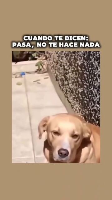 Ты перешёл черту 😎🤣