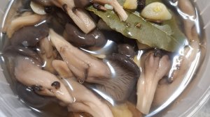 Солёные вешенки, без уксуса  с чесноком и имбирем.