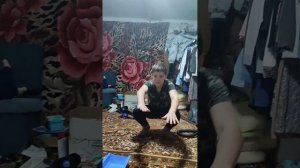 игра попади